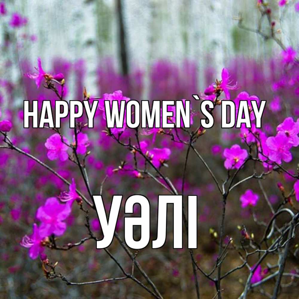 Greetings card с именем, УӘЛІ happy women`s day дикие цветы Greetings with text for free download 